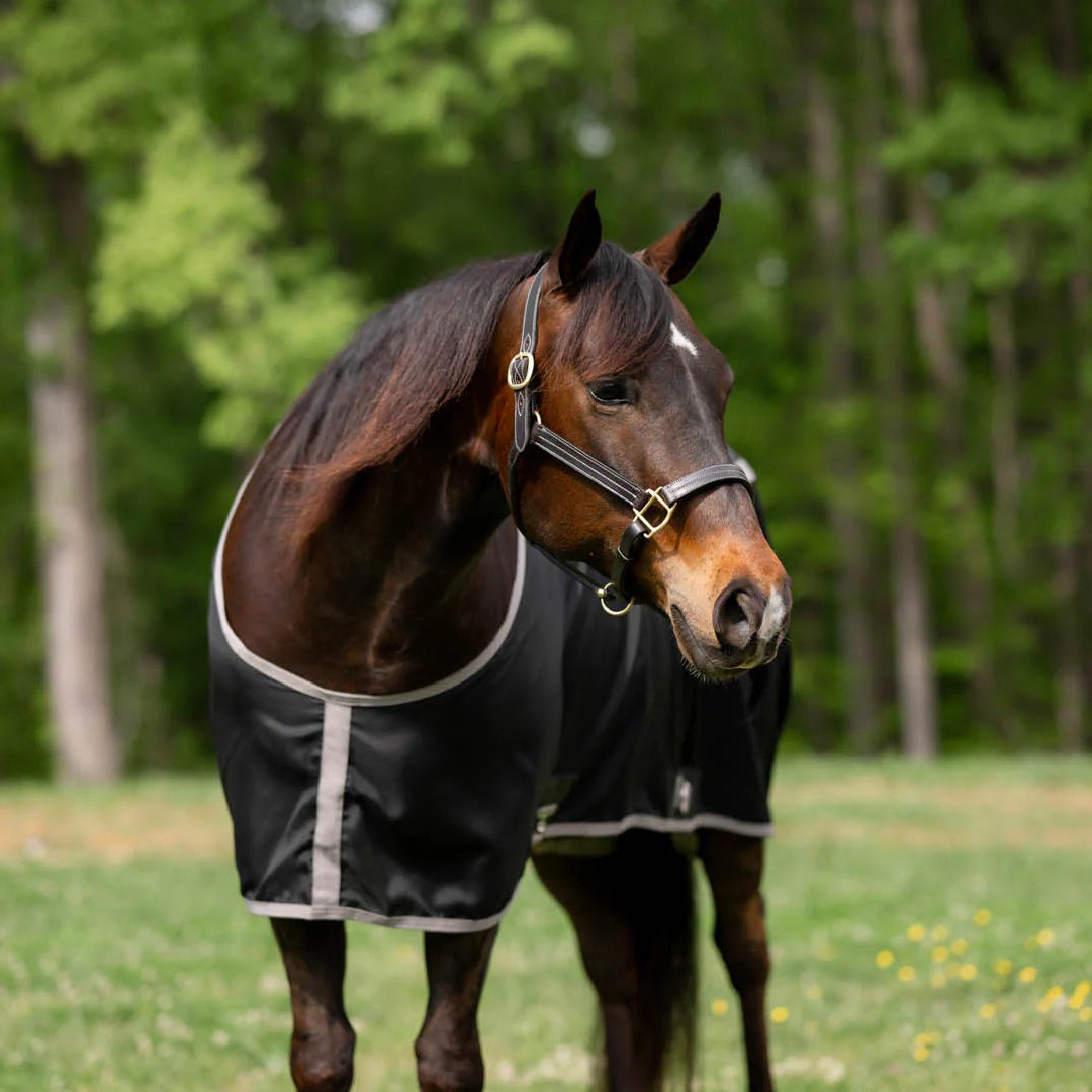 TuffRider Shelter Closed Front Stable Sheet