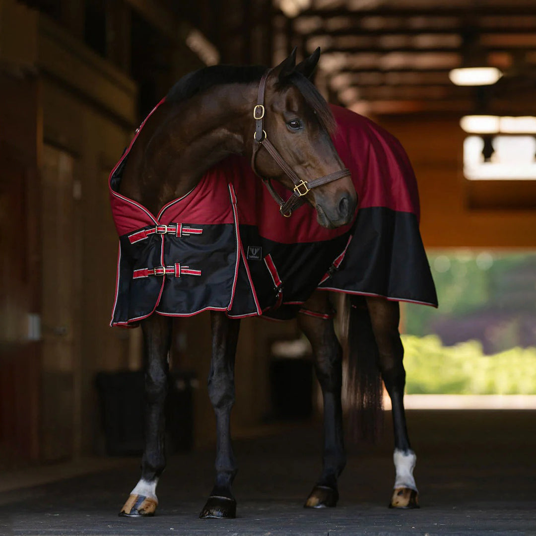 TuffRider Comfy Fit 1200 D RipStop Waterproof/Breathable  Comfy Winter Turnout Blanket Medium Weight 200 GSM Standard Neck W/Adjustable Neck