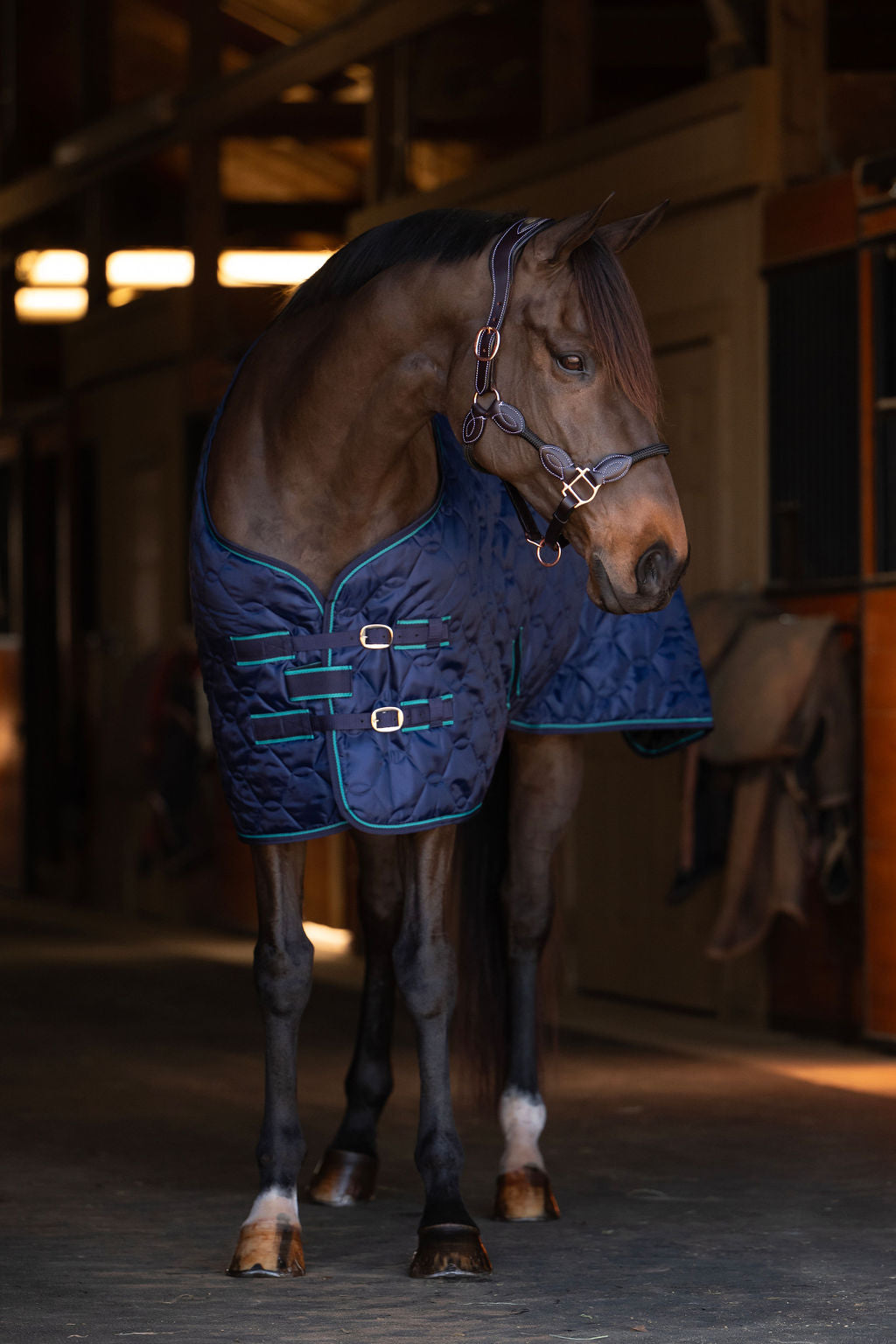 TuffRider Comfy Standard Neck Medium Weight Stable Blanket- 420D, 150GSM