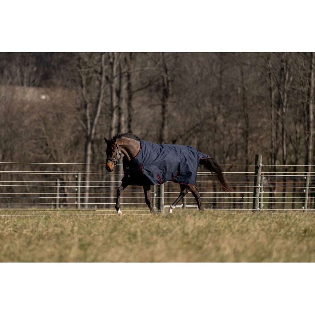 TuffRider Ripstop Standard Neck LightWeight Turnout Blanket with 100 GSM Fill - Breeches.com