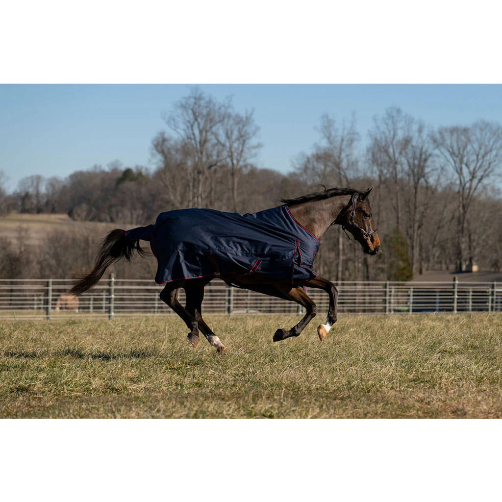 TuffRider Ripstop Standard Neck LightWeight Turnout Blanket with 100 GSM Fill - Breeches.com