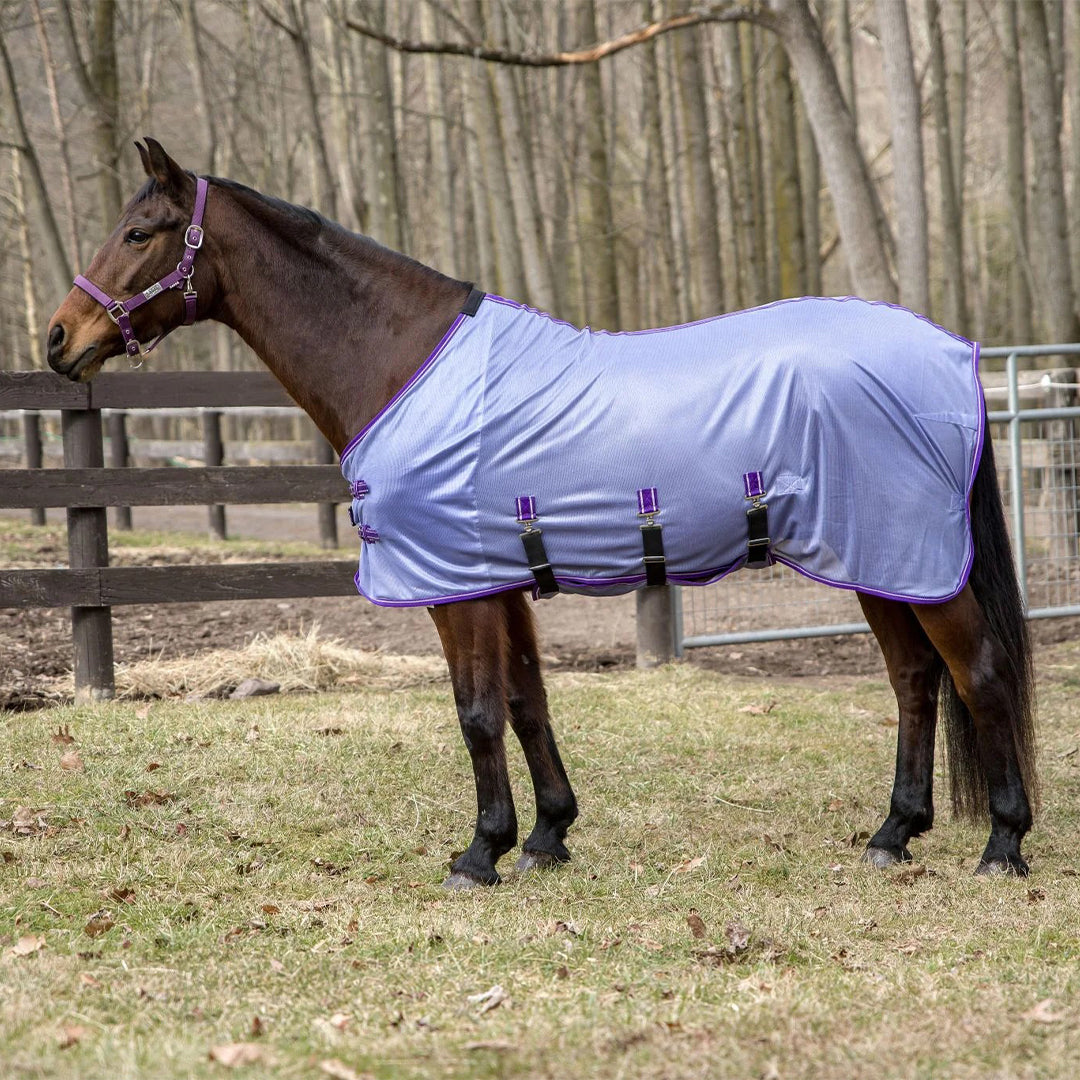 TuffRider Comfy Plus Standard Neck Fly Sheet - Breeches.com