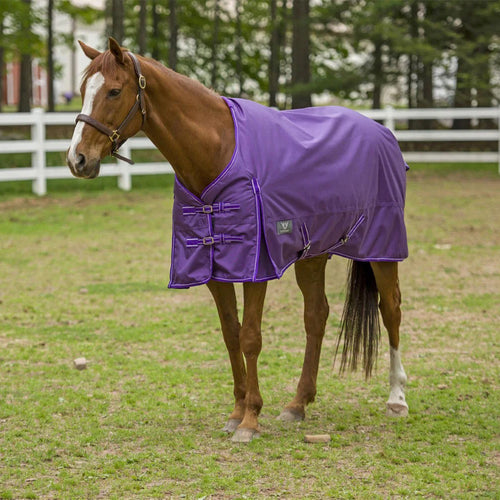 TuffRider 1680 D Super Comfy Medium Weight 200 gms Standard Neck Blanket - Breeches.com