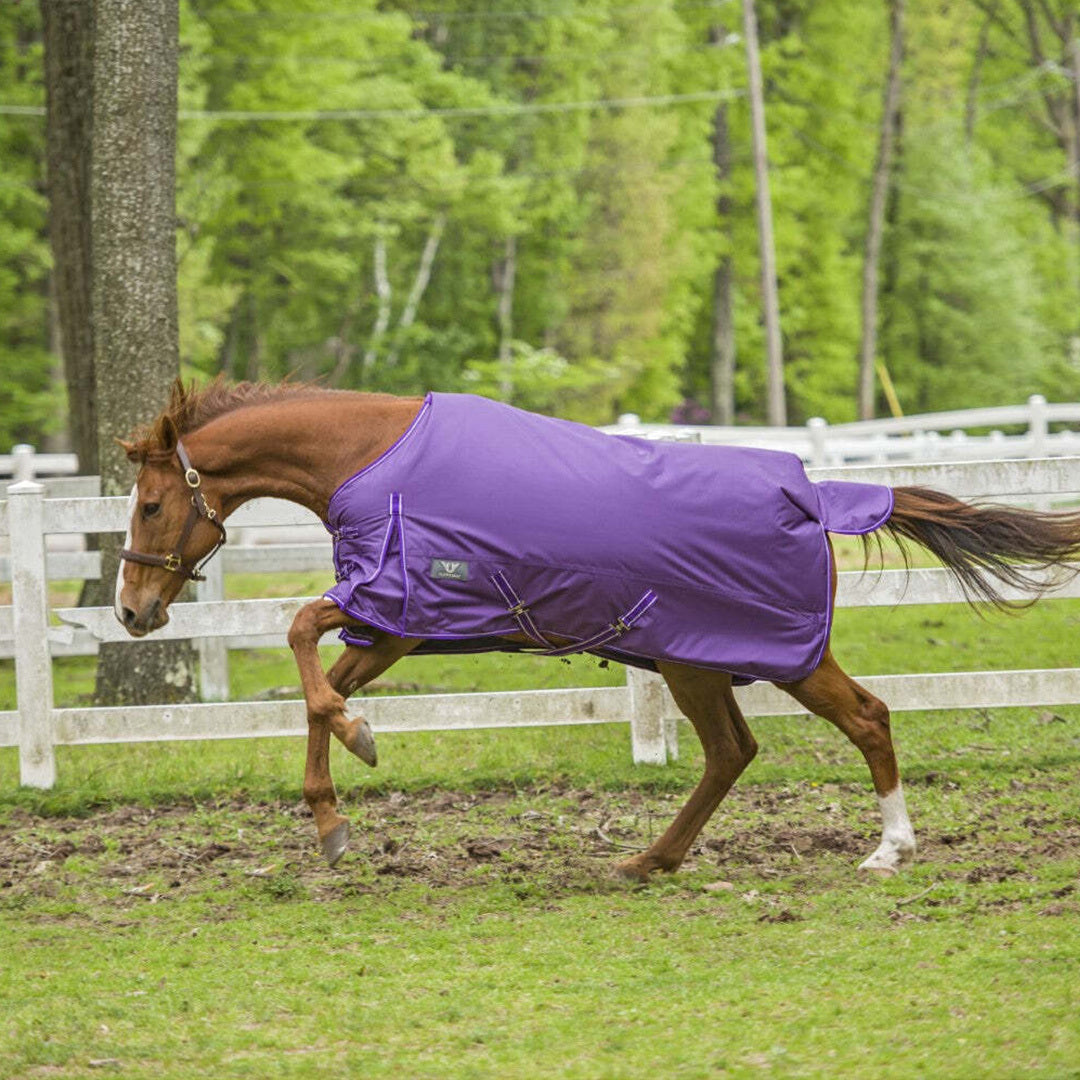 TuffRider 1680 D Super Comfy Medium Weight 200 gms Standard Neck Blanket - Breeches.com