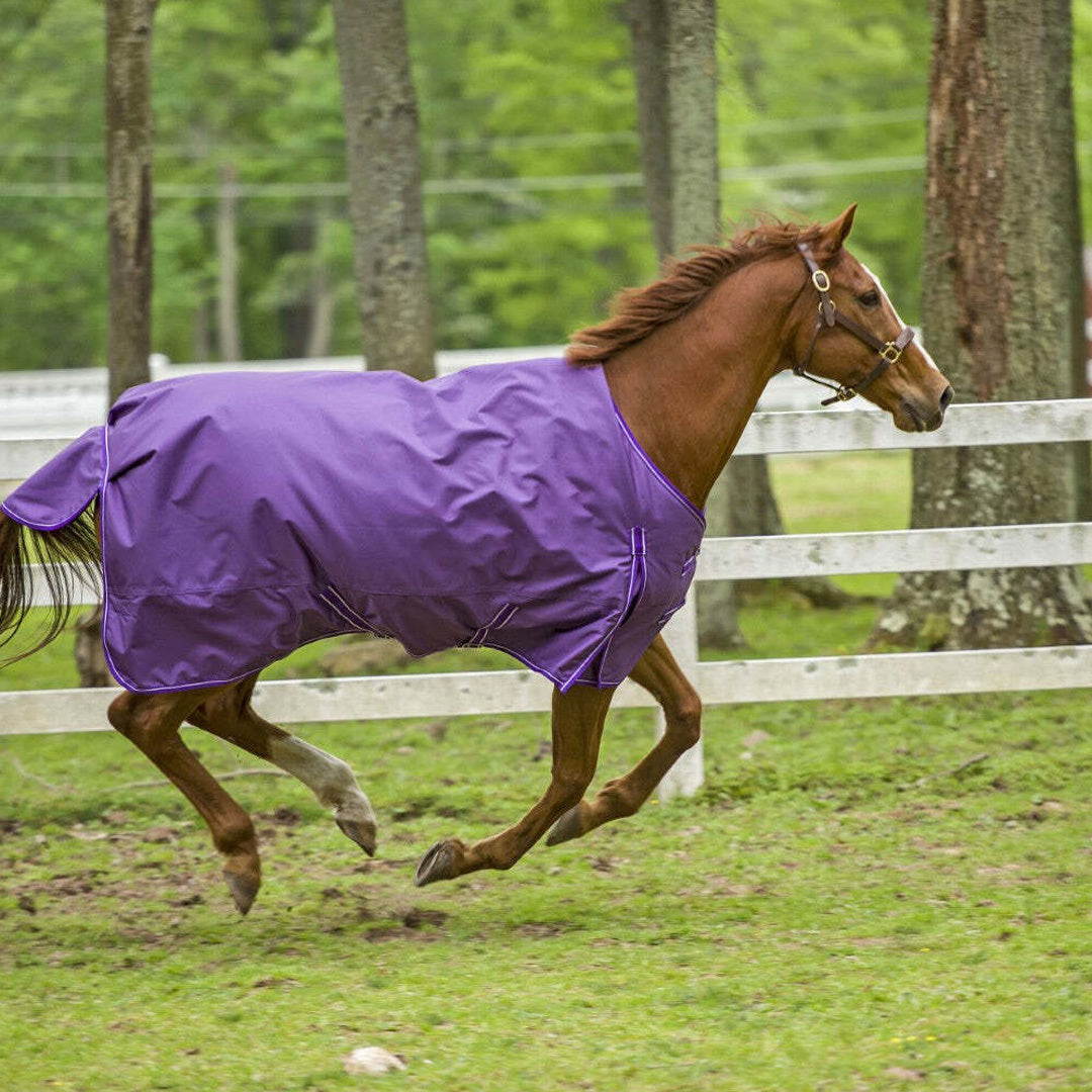 TuffRider 1680 D Super Comfy Medium Weight 200 gms Standard Neck Blanket - Breeches.com