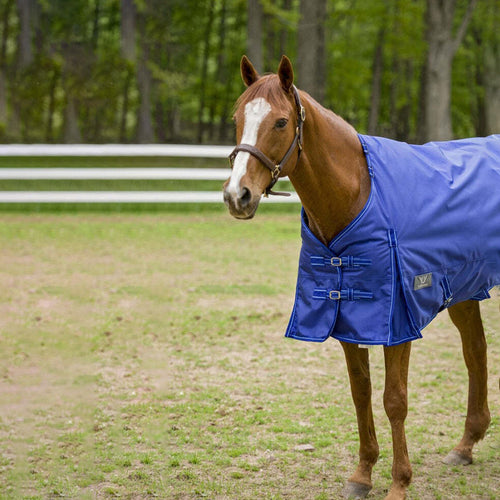 TuffRider 1680 D Super Comfy Heavy Weight 350 gms Detachable Neck Blanket - Breeches.com