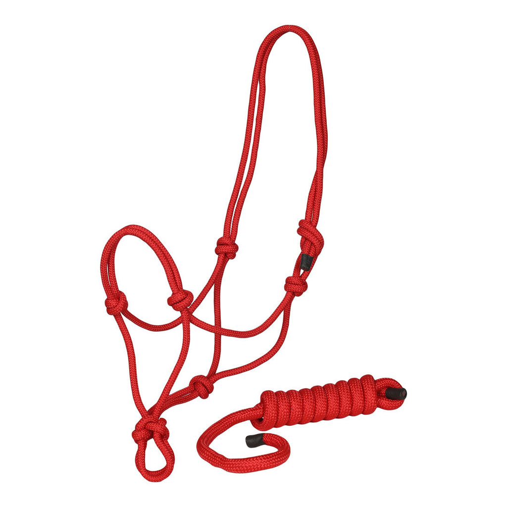 TuffRider Rugged Rope Halter with matching lead