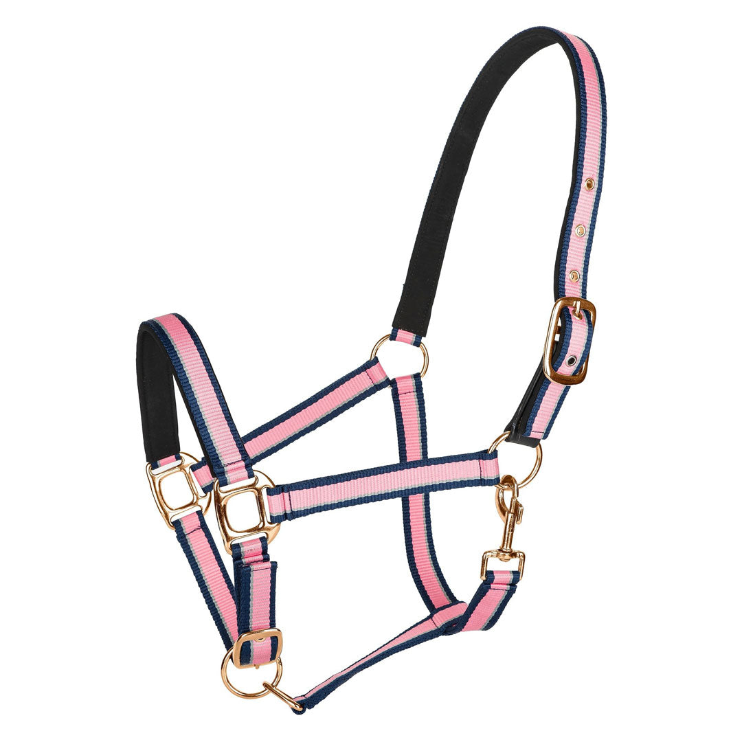 TuffRider Adjustable Nylon Breakaway Halter w/ Padded Crown and Rose Gold Hardware