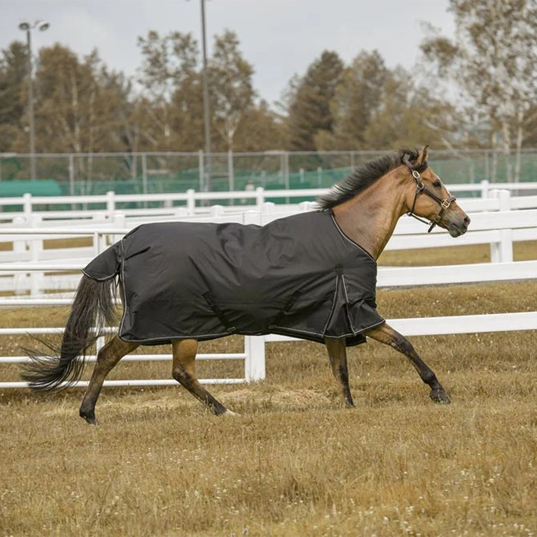 TuffRider 1200 D Comfy Winter Blanket - Breeches.com