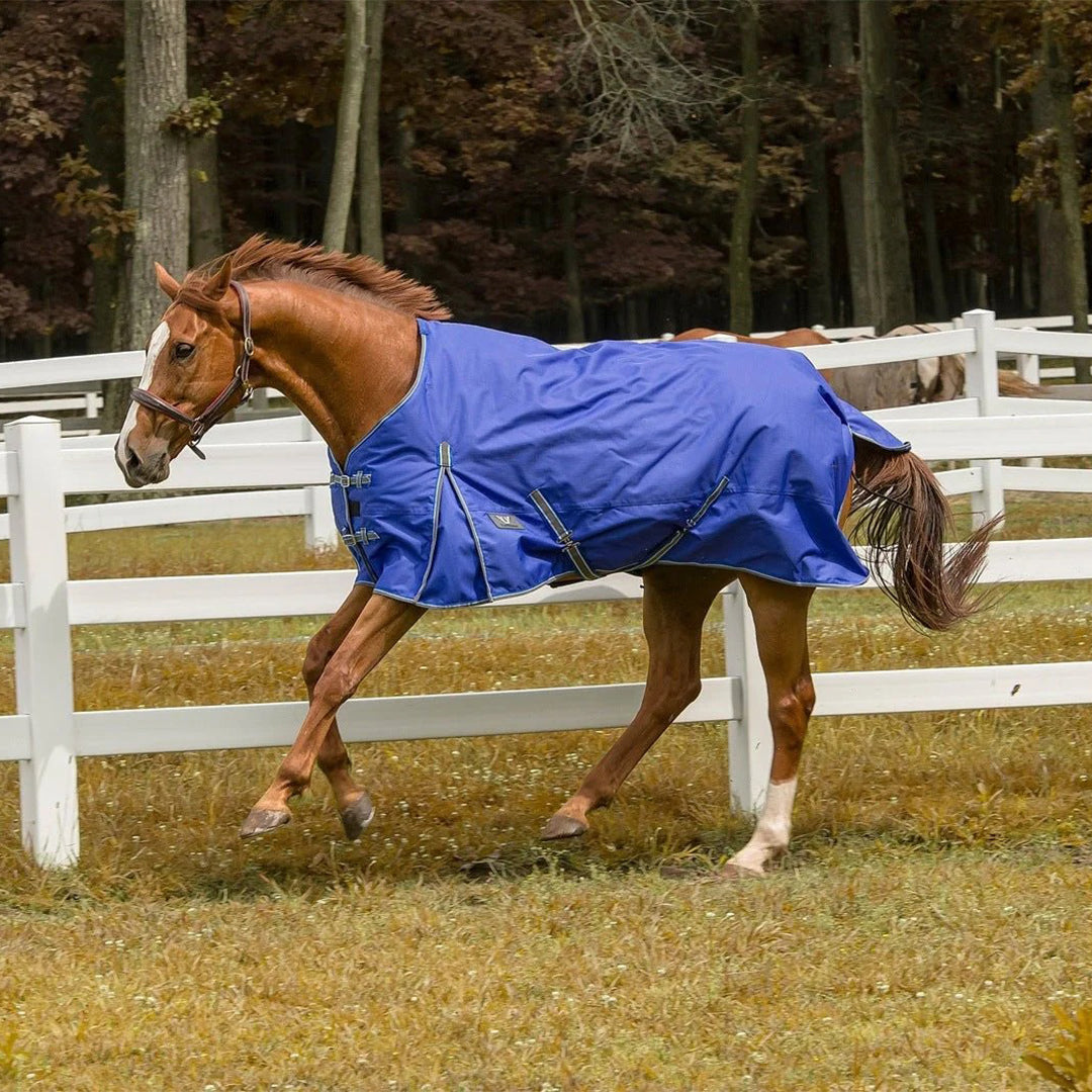 TuffRider 1200 D Comfy Winter Blanket - Breeches.com