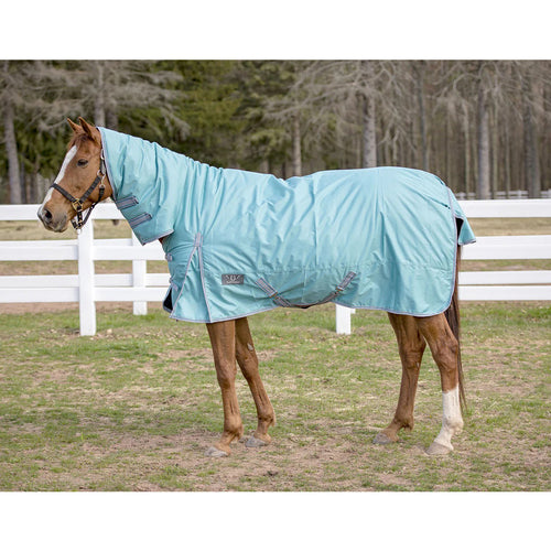 TuffRider 600 D Comfy Winter Medium Weight Turnout Blanket w/ Combo Neck - Breeches.com