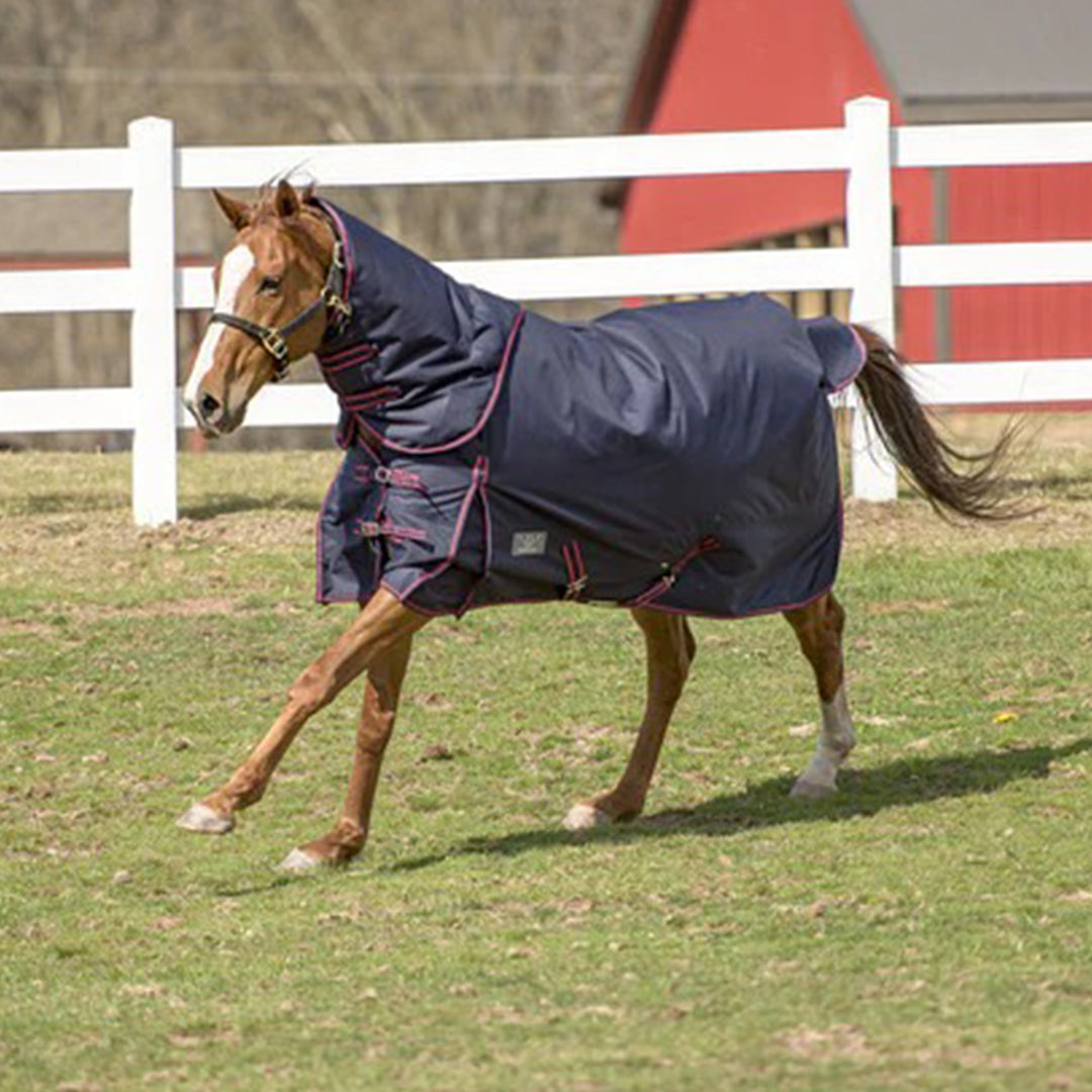 TuffRider 600 D Comfy Winter Medium Weight Turnout Blanket w/ Combo Neck - Breeches.com