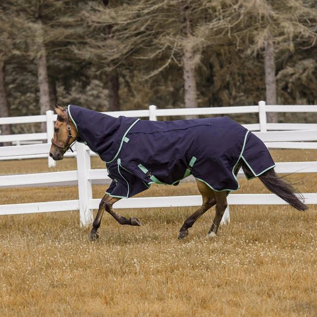 TuffRider All Season Blanket - Breeches.com