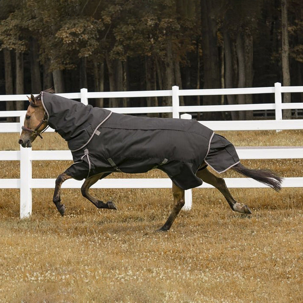 TuffRider All Season Blanket - Breeches.com