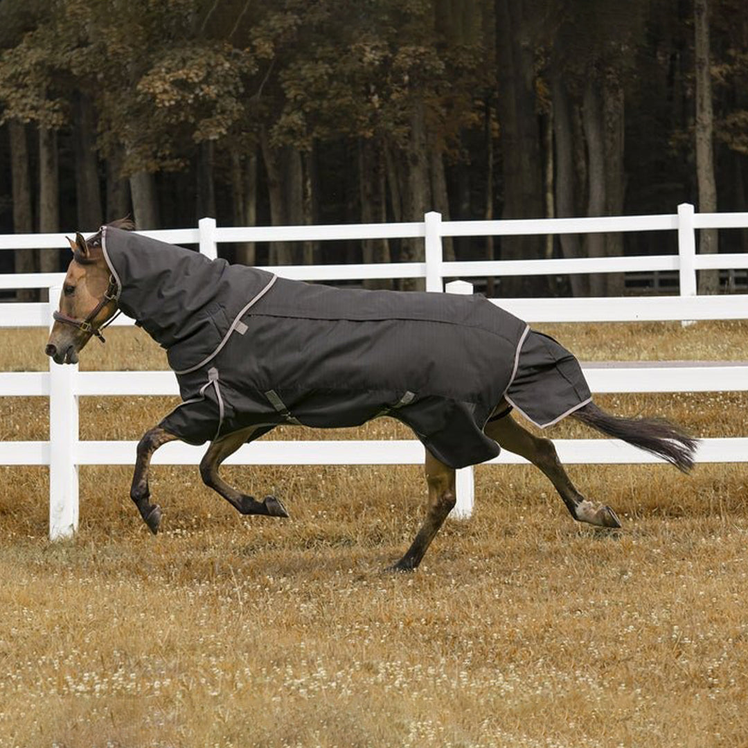 TuffRider All Season Blanket - Breeches.com