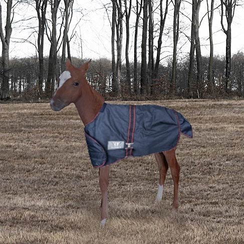 TuffRider 1200D Ripstop Foal Adjustable Turnout Blanket - Breeches.com